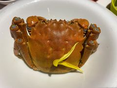 清水大闸蟹-蟹榭(静安寺晶品商场店)