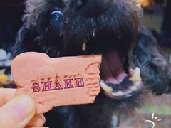 -Shake Shack(西单大悦城店)