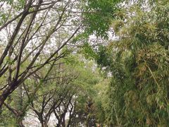 -大渡口区义渡公园