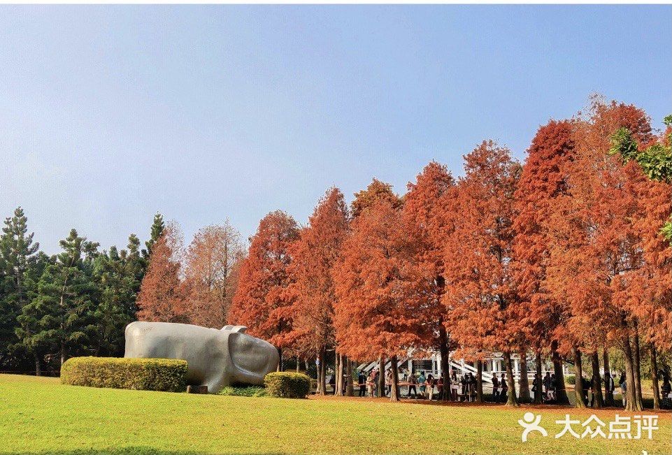 0️⃣元打卡厦门新晋网红拍照地❗