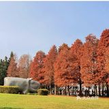 0️⃣元打卡厦门新晋网红拍照地❗