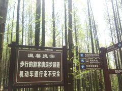 -山王坪喀斯特国家生态公园