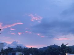 -花海间·即刻露营