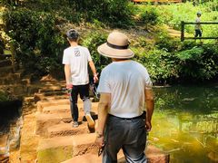 -川西竹海景区