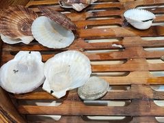 -日月昇渔家菜·海肠捞饭·大连海鲜(星海公园店)