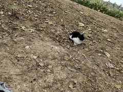 -阳澄湖半岛旅游度假区