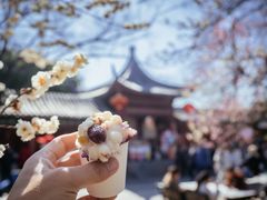-梅花山(明孝陵内)
