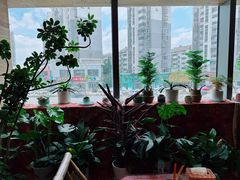 -火塘云南烧烤大排档