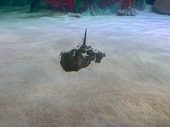 -沈阳海洋探索中心