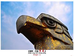 景点-大金鹰园