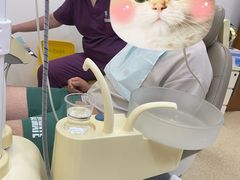 -圣贝口腔(海淀店)
