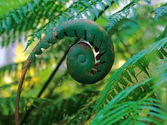 -国家植物园南园