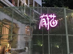-有猫主题·治愈系猫咖(曾厝垵店)