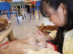 -平行世界·猫咖(首经贸店)