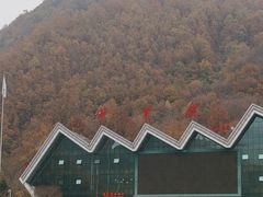 -牛背梁国家森林公园