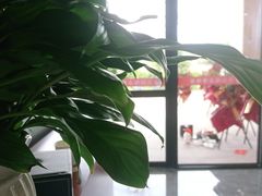 -张钰强中医正骨推拿连锁(唐家人才公寓店)