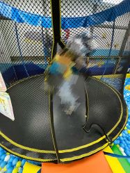 -莫莉幻想儿童乐园(北京华联亦庄购物中心店)