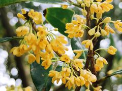 -共青国家森林公园-售票处