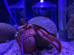 -太平洋海底世界