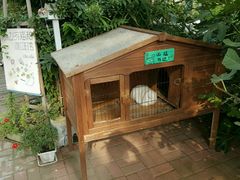 android_upload_pic-海边的猫和咖啡馆