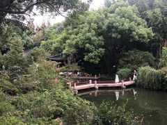 -汇龙潭