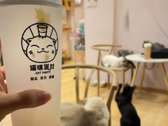 -猫咪派对(江南西店)