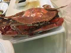 -集贤阁海鲜酒楼(北辰总店)