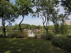 -顺峰山公园