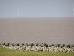 -南汇嘴观海公园