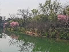 -西溪国家湿地公园