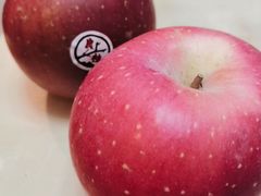 -百果园PAGODA(应元路店)