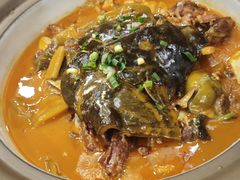 -洞庭家宴·头牌甲鱼(广渠门店)