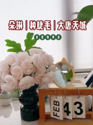 -朵琳·美甲美睫纹绣