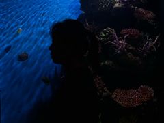 -暹罗海洋世界