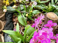 -国家植物园南园