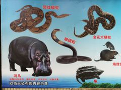 -昆明动物园