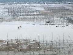 -北岐滩涂