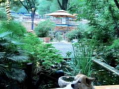-谷咖啡·鲜花绿植花园餐厅