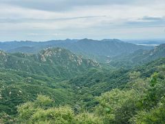 -大岭沟猕猴桃谷风景区