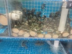 -聚德福海鲜家常菜(刘庄店)