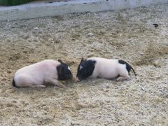 -台山颐和温泉城