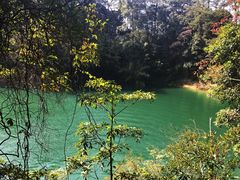 -广州市流溪河国家森林公园