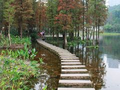 -重庆彩云湖湿地公园