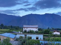 -蘑统田下·野生菌火锅