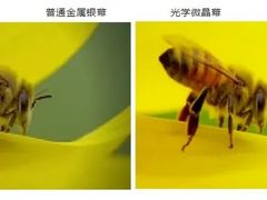 -天津美亚HeyLED影城(天津水游城店)