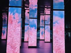 -中国湿地博物馆