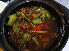 -常来老白莲鹅饭店(老城店)