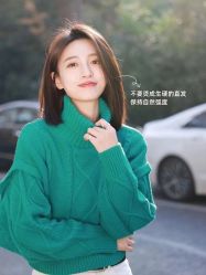 -YESIDO椰岛造型