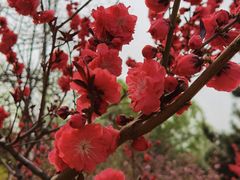 -玲珑塔公园