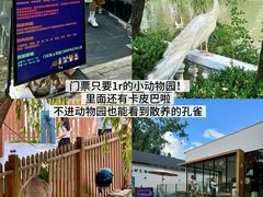 -J Create城市露营咖啡·简餐·宠物(上海动物园店)